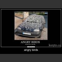 angry birds