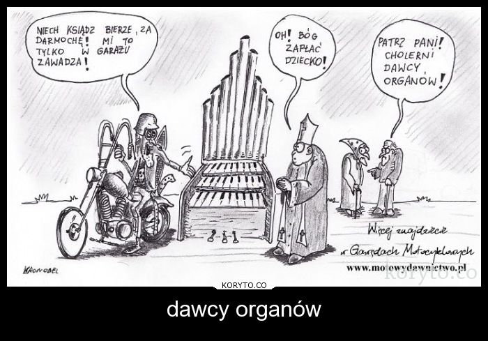 dawcy organów