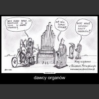 dawcy organów