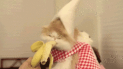 może bananka??
