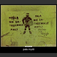 pała myśli