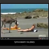 tymczasem na plaży