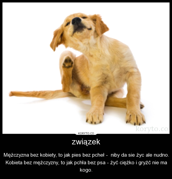 związek